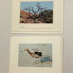 08 SET OF 12 Nature Photo Greeting Cards: elk, iguana, flower, bird, desert arch